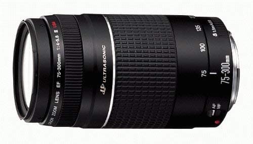 Canon EF 75-300mm f/4-5.6 III Zoom Lens